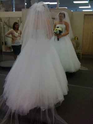 BIG POOFY DRESS SUGGESTIONS???