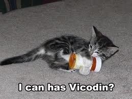 I'm on vicodin...wooooweeeeeeeee
