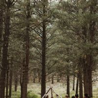 Camping wedding inspiration - 4