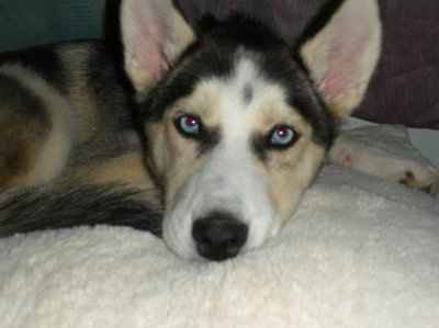 NWR: Lets see our pets!!