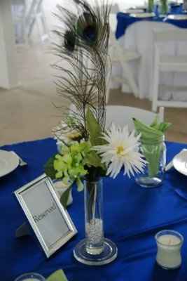 Peacock wedding decor??