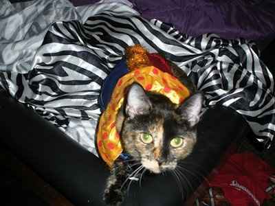 NWR:  Dressing your furbabies up for Halloween?