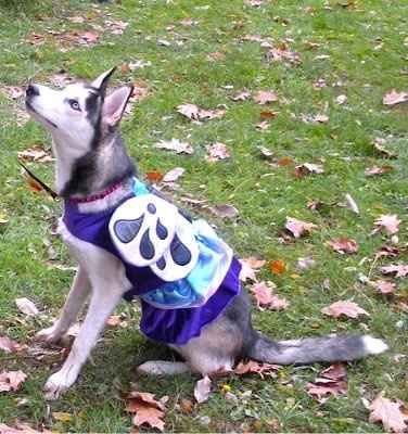 NWR:  Dressing your furbabies up for Halloween?
