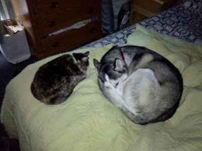 NWR: Show off your fur baby!