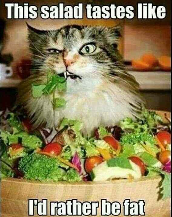 Meme theme of your day?