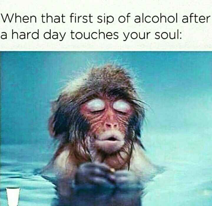 NWR:  Share some Memes