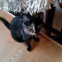 Lets see those pets!!! (NWR)