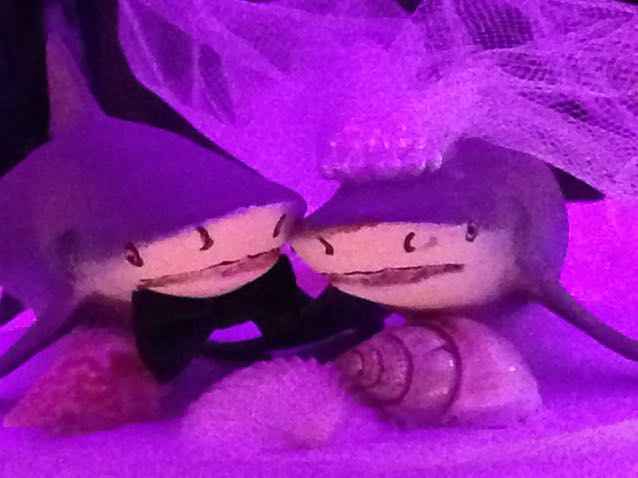 Beach theme not at the beach? - 1