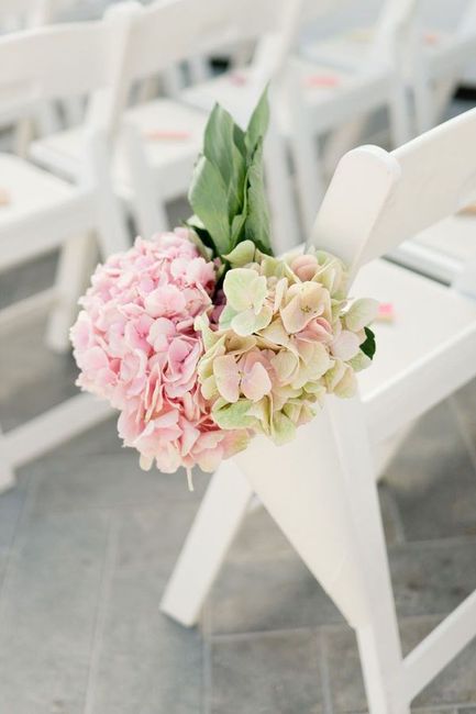 Hydrangeas on pews