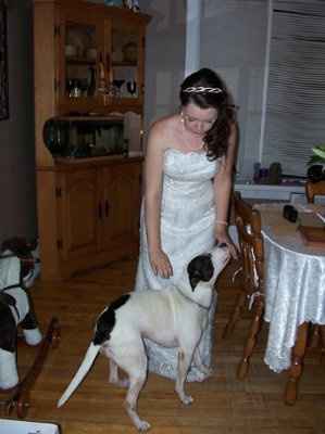 PETS!  Are you involving yours?