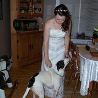 PETS!  Are you involving yours?