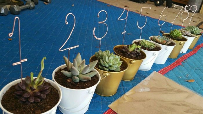 DIY table numbers! (Pic)