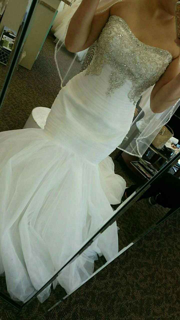 I said "YES TO THE DRESS"