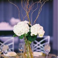 Centerpiece Opinions - 1