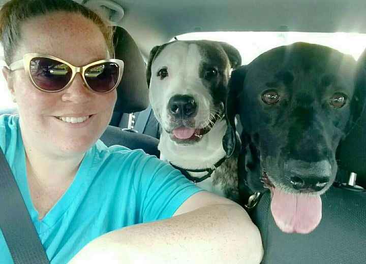 Show me those puppies!
