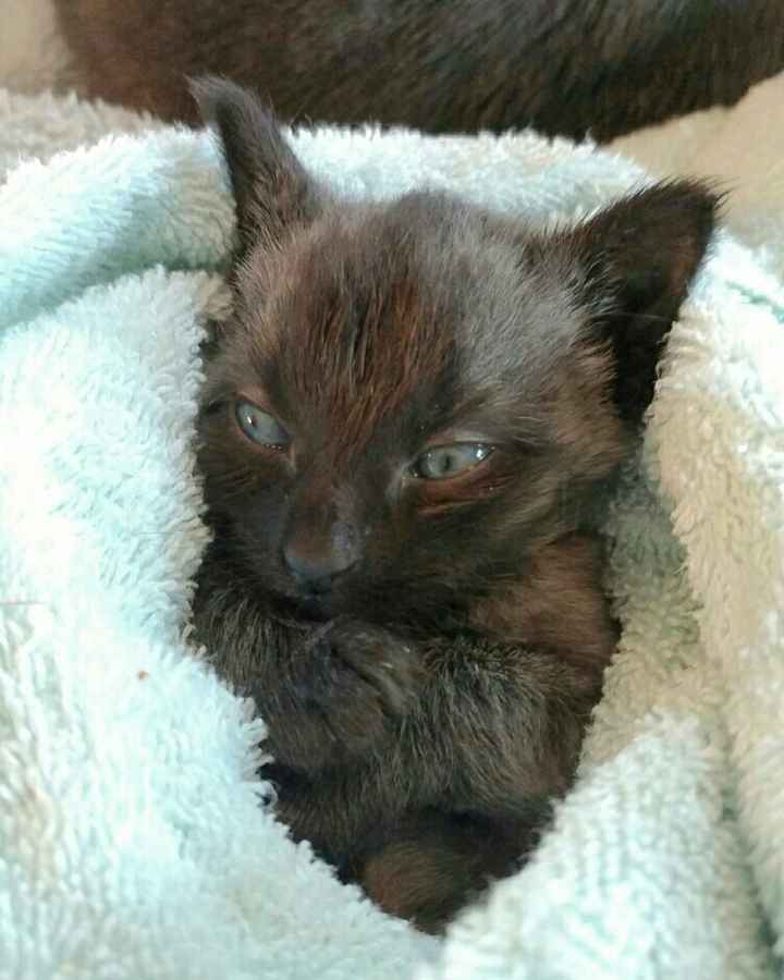 NWR **Update! We chose a name!** Look What I Found!!! :-O