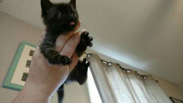 NWR Lil Ollie update! Its been a while