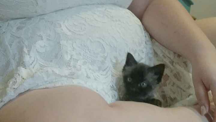 NWR Lil Ollie update! Its been a while