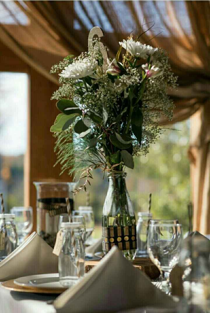 ***New Pics added!*** PRO BAMITY BAM BAM BAMMMM!