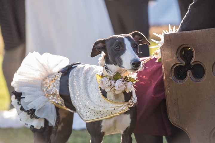 ***New Pics added!*** PRO BAMITY BAM BAM BAMMMM!