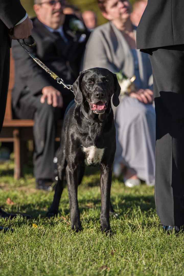 ***New Pics added!*** PRO BAMITY BAM BAM BAMMMM!