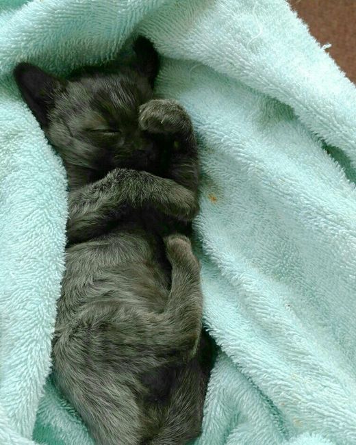 NWR **Update! We chose a name!** Look What I Found!!! :-O