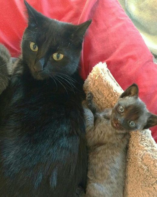 NWR **Update! We chose a name!** Look What I Found!!! :-O