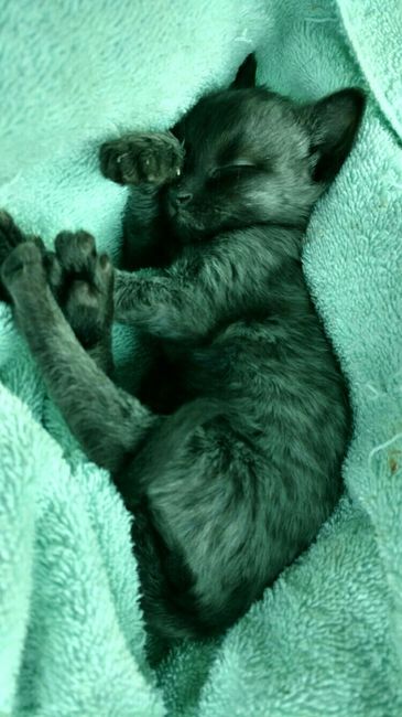 NWR **Update! We chose a name!** Look What I Found!!! :-O