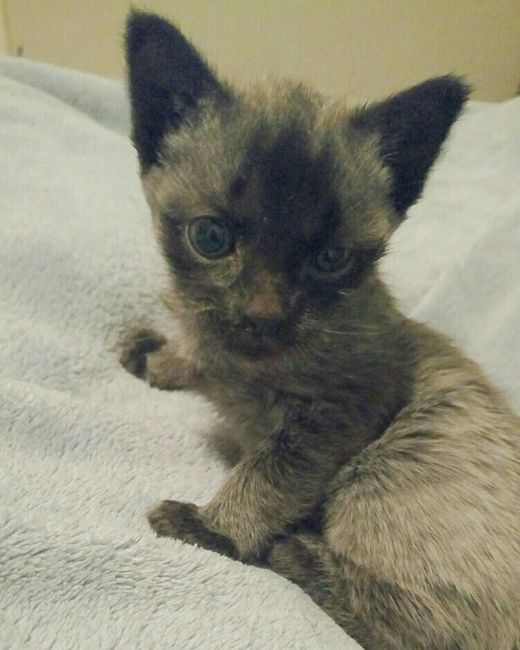 NWR Your Daily Dose of Baby Ollie!