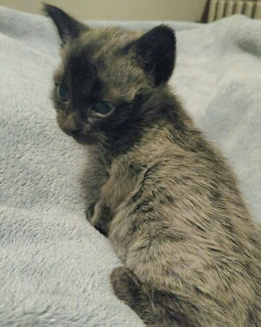 NWR Your Daily Dose of Baby Ollie!