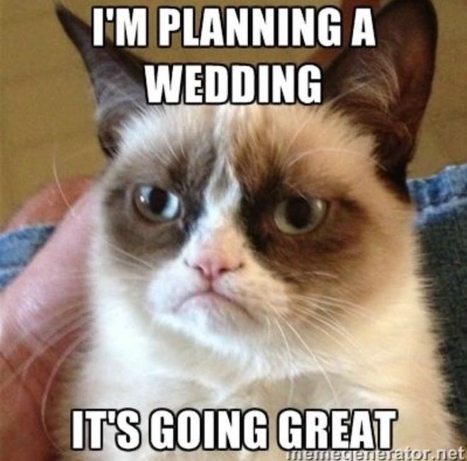 Cranky pants Monday