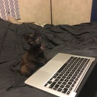 NWR:  Show me your fur babies!