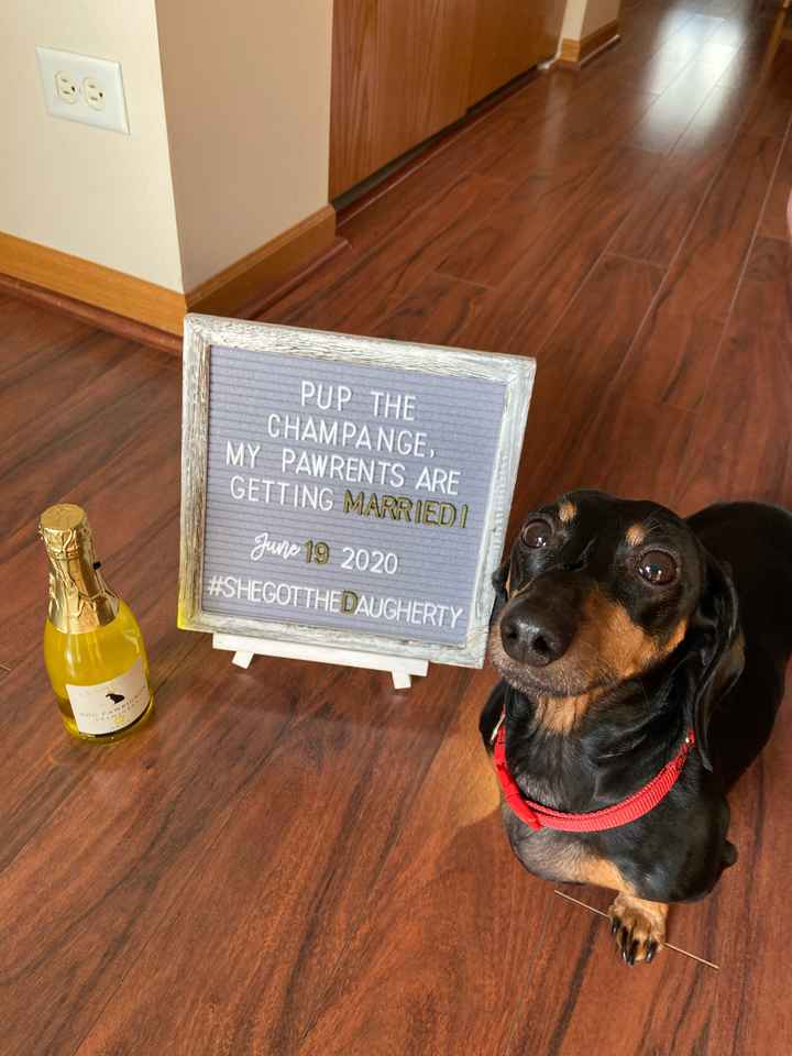 Fun Save the Dates? - 1