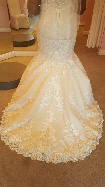 MY DRESSSSSSS... plus size brides unite!