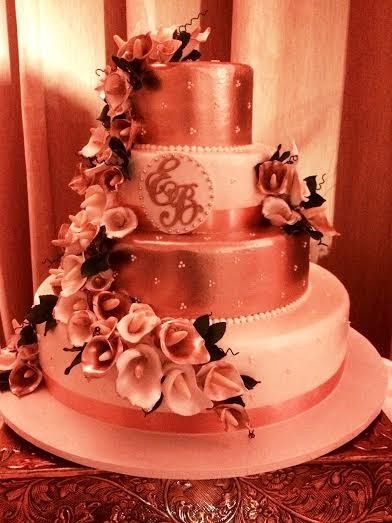 Married and Back!  (Non-ProPics Heavy)