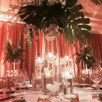 Married and Back!  (Non-ProPics Heavy)