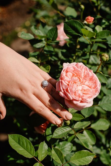 2024 Brides - Show us your ring! 17
