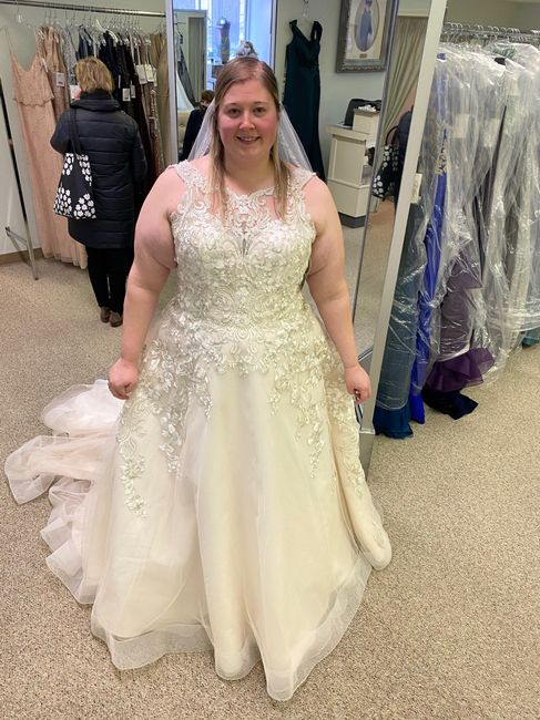 Share Your Wedding Gown and Rings - 2