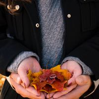 Engagement Pics! - 2