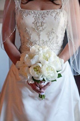 Professional Pictures! (added some more detail photos)