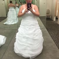 Dress pictures!