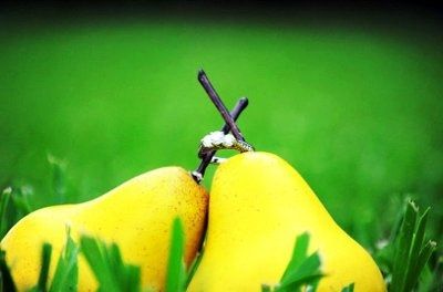 Just got my engagement photos!! *pics*