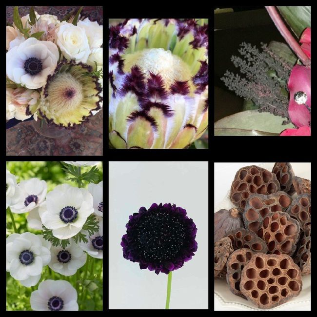 Finally chose my wedding flowers! 7