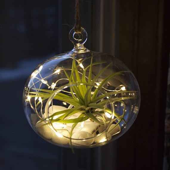 Cheap decor ideas and places? - 1