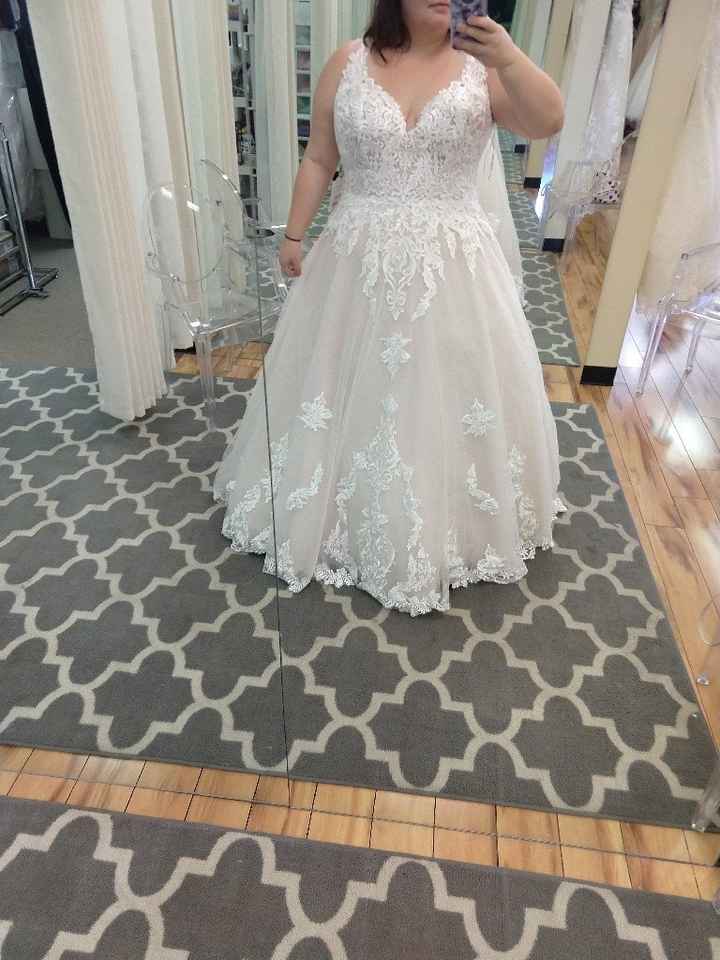 My dress came in!!! - 1