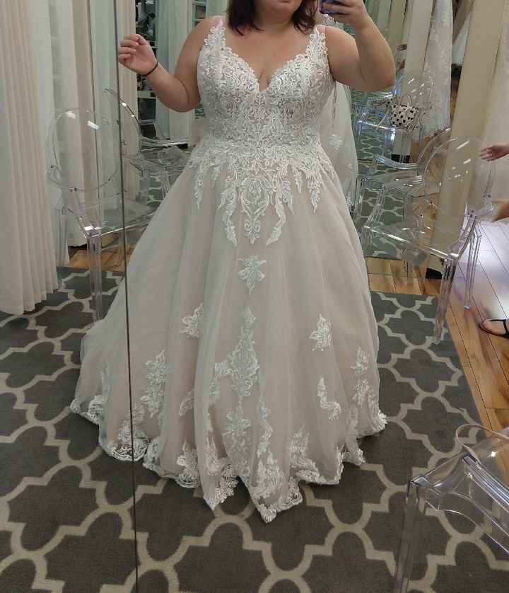 My dress came in!!! - 2