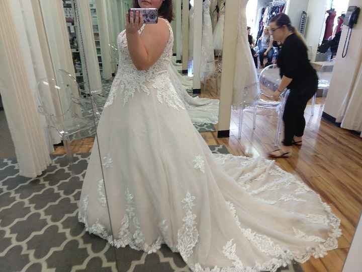 My dress came in!!! - 3