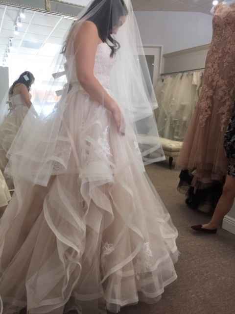 Horsehair Trim Veils !