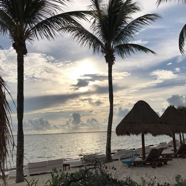 Excellence Punta Cana
