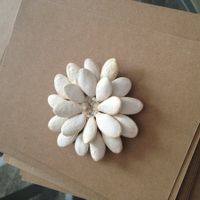 A few of my simple DIY's that I tackled!